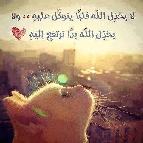 خواطر دينية بالصور ٢