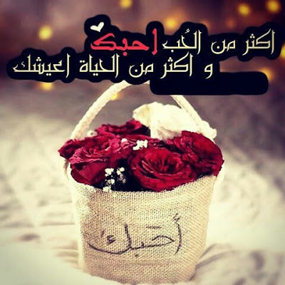 عبارات على كلمة أحبك