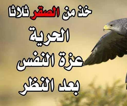 خواطر عن تقدير الذات