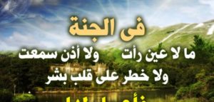 خواطر عن الجنة