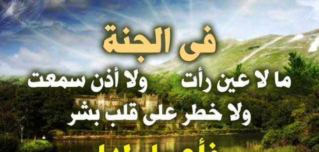 خواطر عن الجنة
