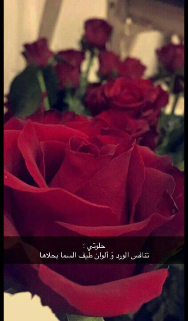 خواطر عن الزهور تويتر