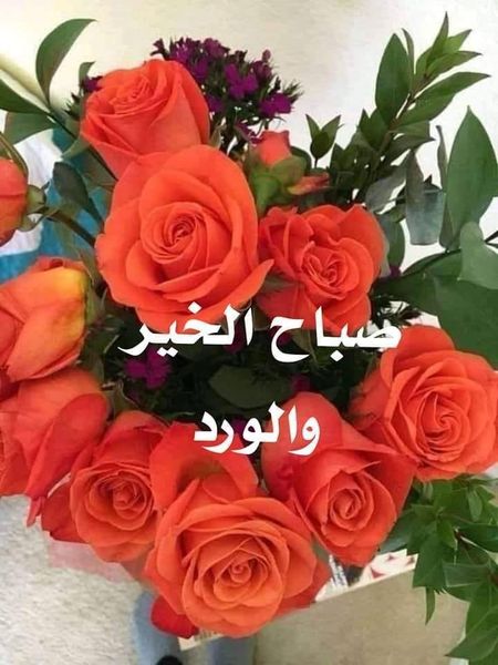 ماذا تقول اذا قيل لك صح النوم