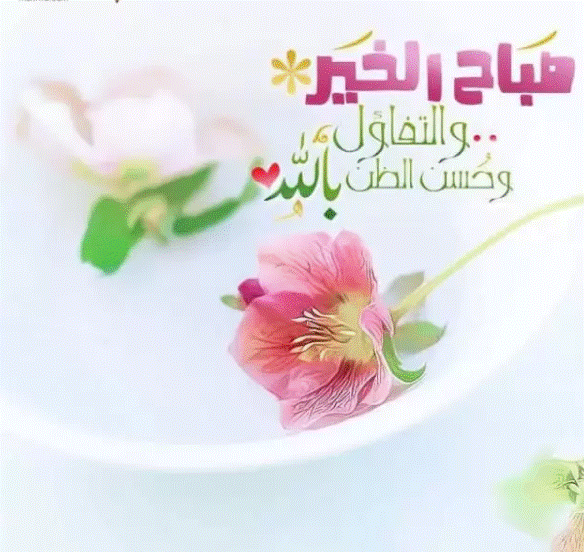 عبارات صباح الخير