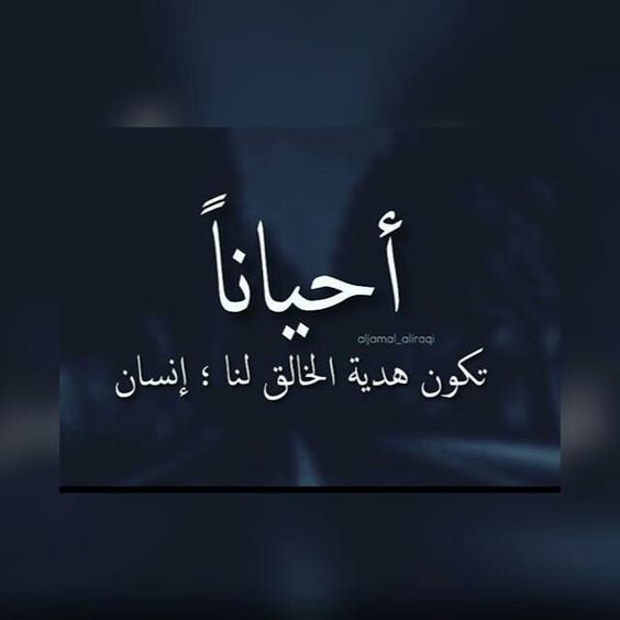 خواطر عن الصديق الوفي تويتر