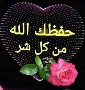 رد على ماتشوف شر