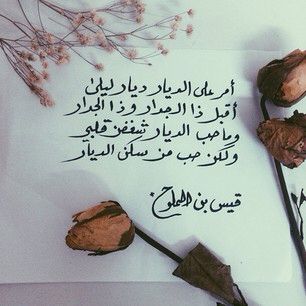 خواطر عن الديار بالصور  ٢