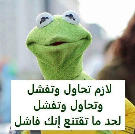 حالات واتس مضحكه مصريه 1