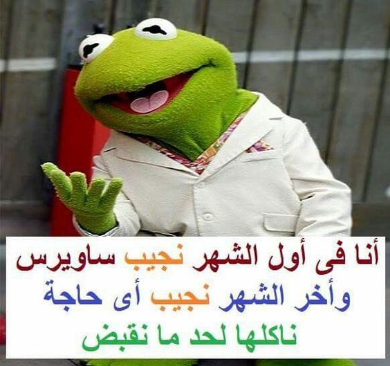 حالات واتس مضحكه مصريه 1