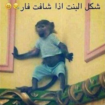 حالات واتس اب للبنات مضحكة 1