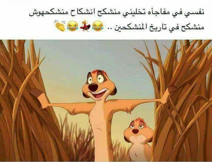 حالات واتس مضحكه جديدة 1