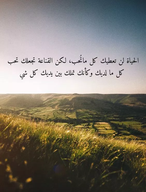 خلفيات واتس اب جديدة  1