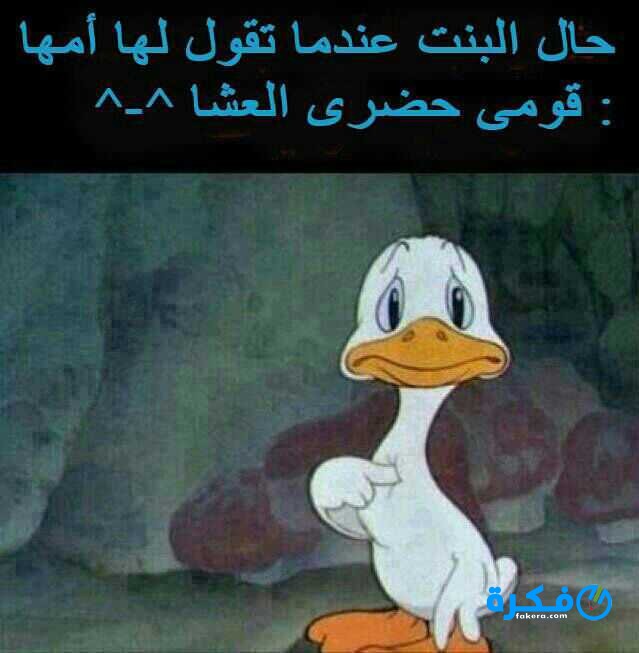 حالات واتس مضحكه مصريه 2