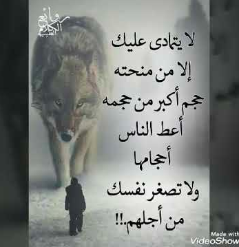 حالات الواتس اب حكم وامثال حزينه2