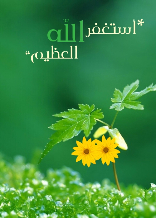خلفيات واتس اب اسلامية2