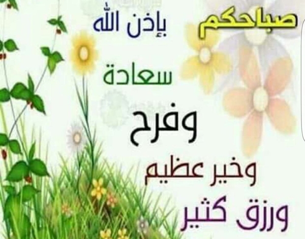 الرد على صباح الورد للحبيب