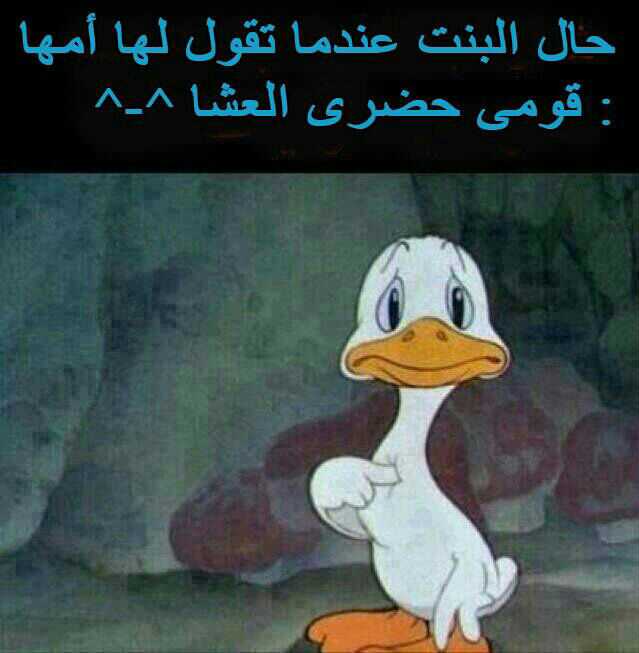 خلفيات واتس اب مضحكه للبنات 2