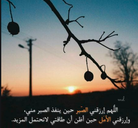 خلفيات واتس اب حلوة 3