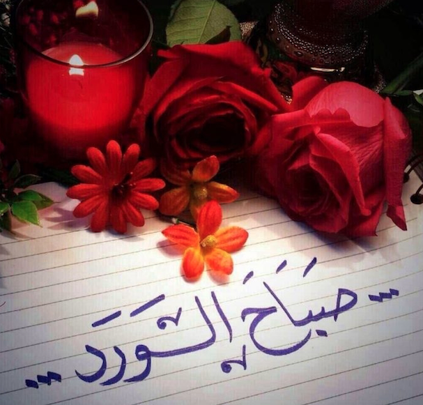 رسائل الرد على صباح الورد