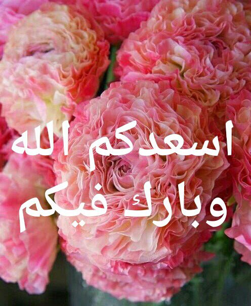  اذا احد قالك بارك الله فيك وش ارد 
