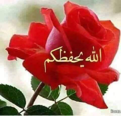 الرد على ماتشوف شر يارب 