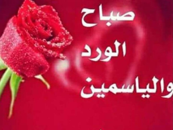 ما الرد على صباحك ورد