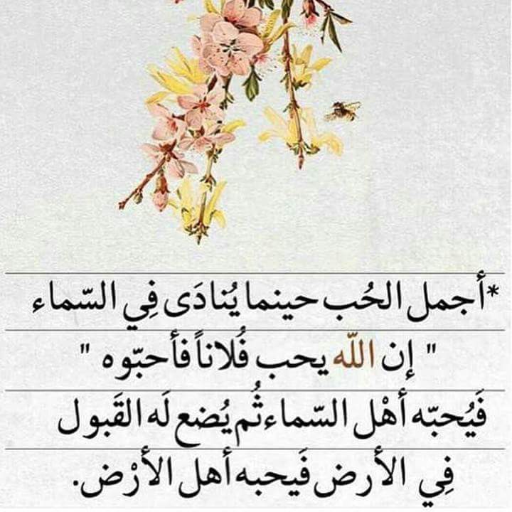 حالات واتس اب روعة 4
