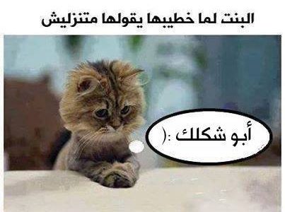 حالات واتس مضحكه مصريه 4