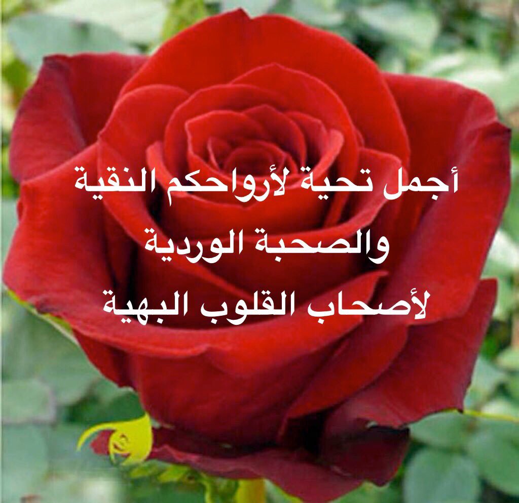 ماذا ترد على من قال لك بارك الله فيك 