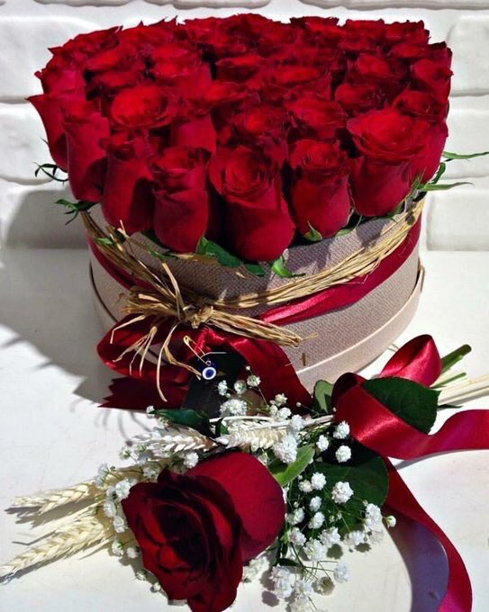 عبارات رد على ماتشوف شر  