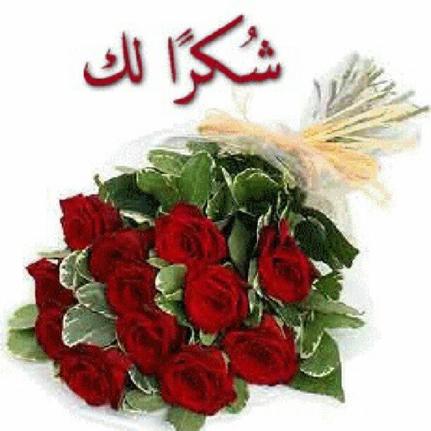 كلمات للرد على حاضر