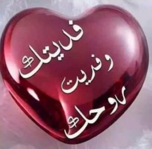 رد على فديتك