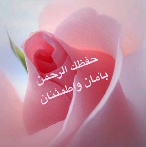  الرد اذا احد قالي طيب 