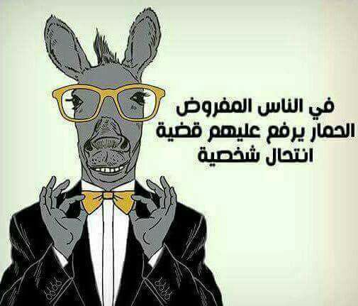 رد على تعليق شخص حقير