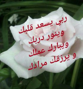 رد على حفظك الله