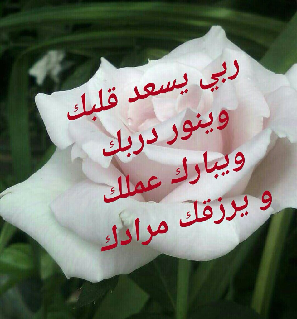رد على حفظك الله