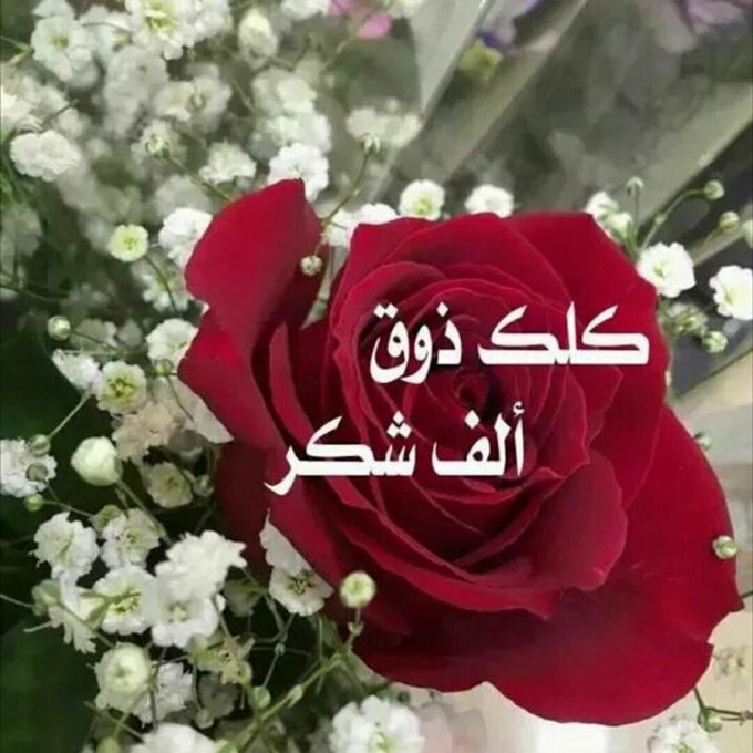أفضل رد على والنعم والله