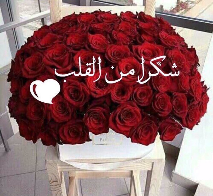 رد على كلمة صدقت تويتر