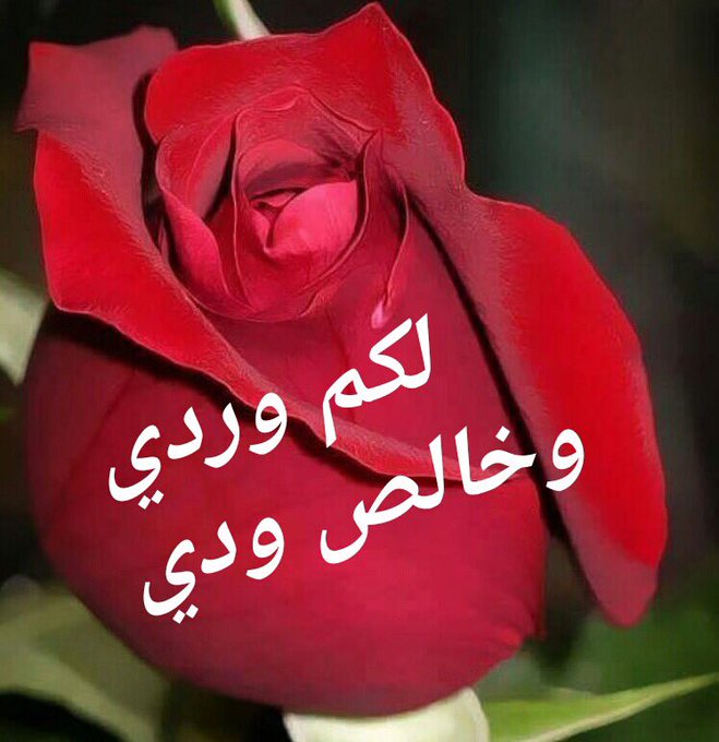 الرد على عاشت الاسامي