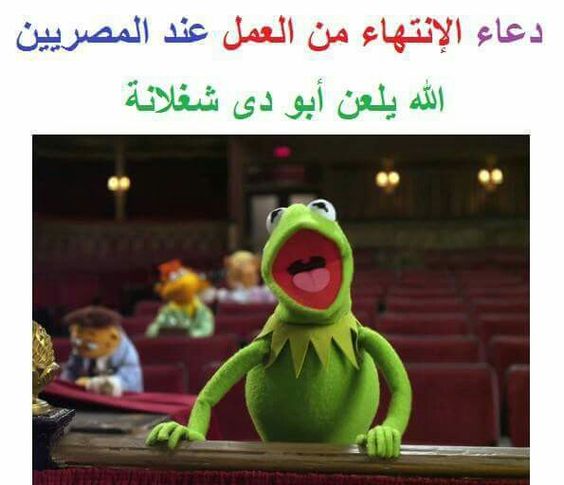 حالات واتس مضحكه مصريه 5