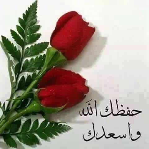 الرد على حي ذا الشوف 