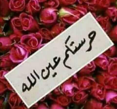 رد حي ذا العين تويتر 