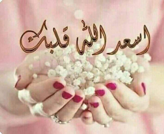  الرد على كلمة ياروحي فديتك 
