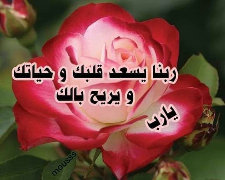 عبارات الرد على طيب 