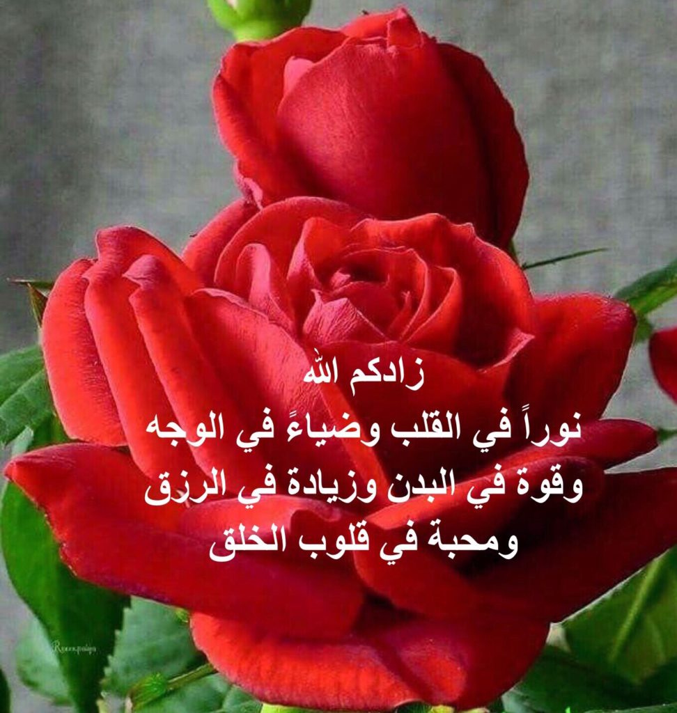  رسائل الرد على طيب 
