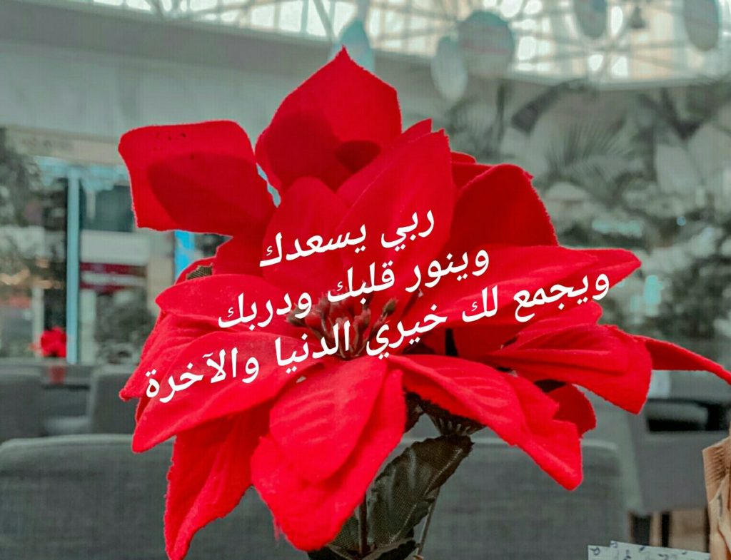 عاشت الاسامي وش ارد عليها