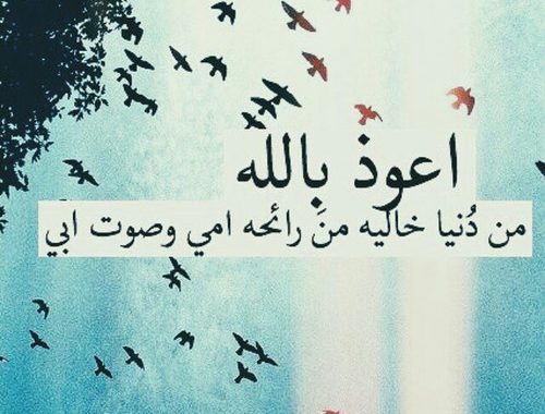 عبارات عن الوالدين للواتس