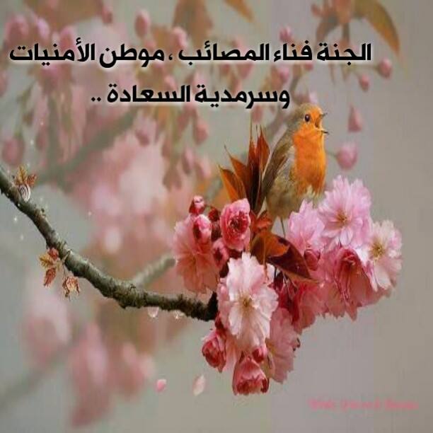 خلفيات واتس اب اسلامية 1