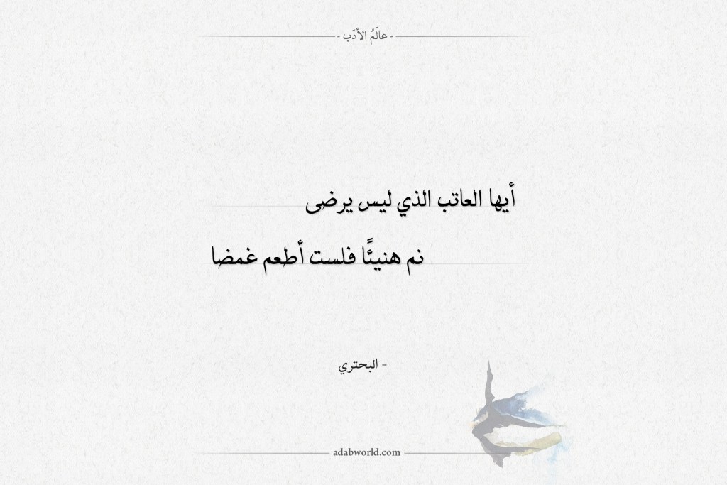 رد على مدح شعر لشخص