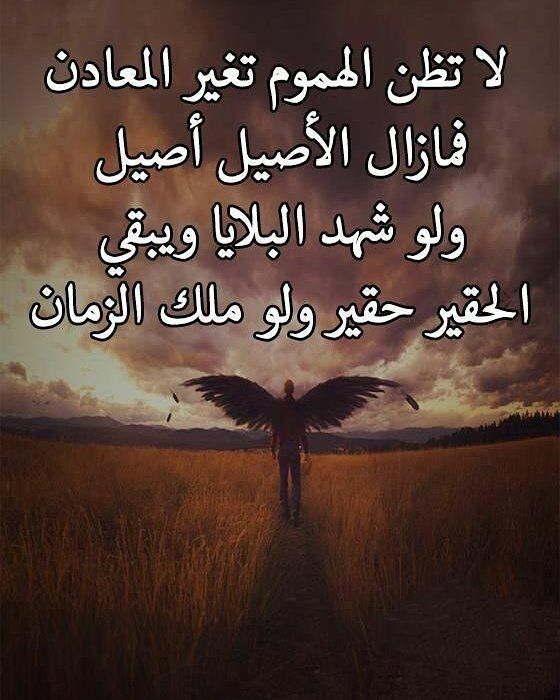رد كلام يسكت الشخص التافه